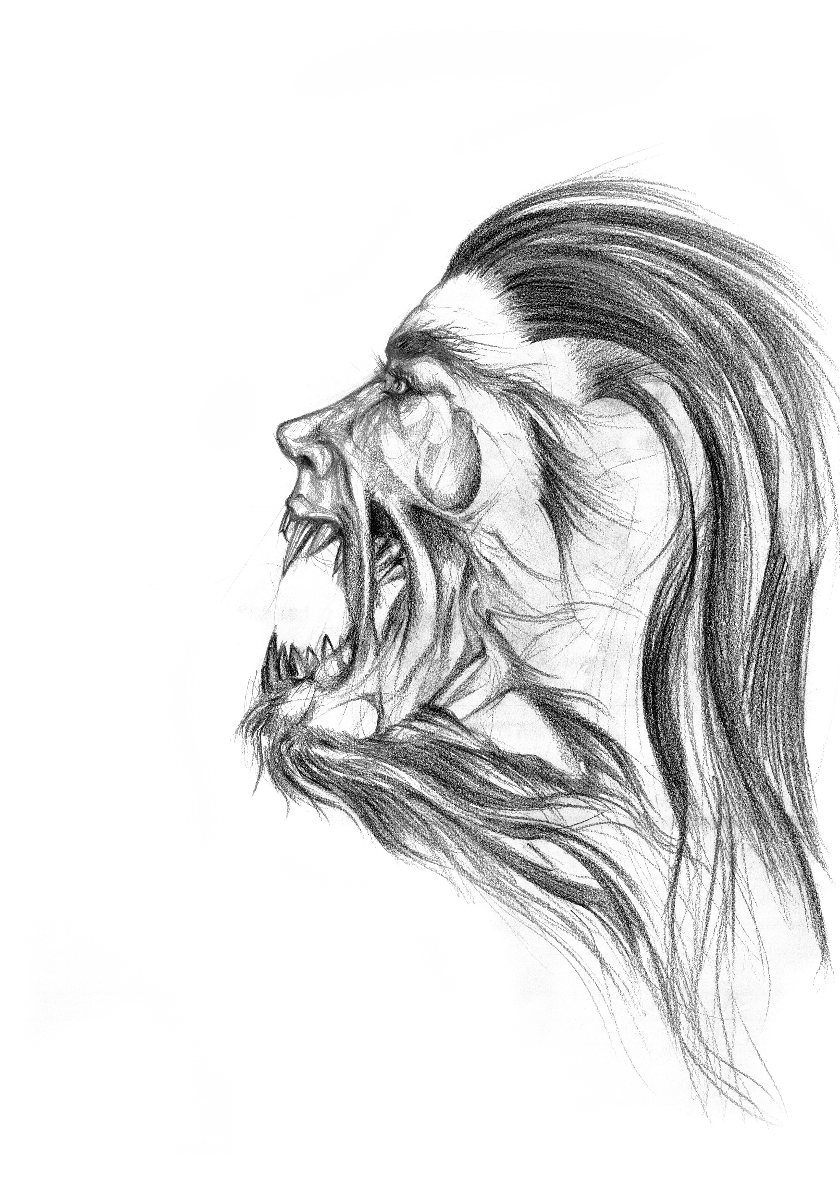 Werewolf in Transformation